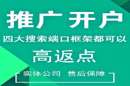 百度推广精准定位，案例深度解析